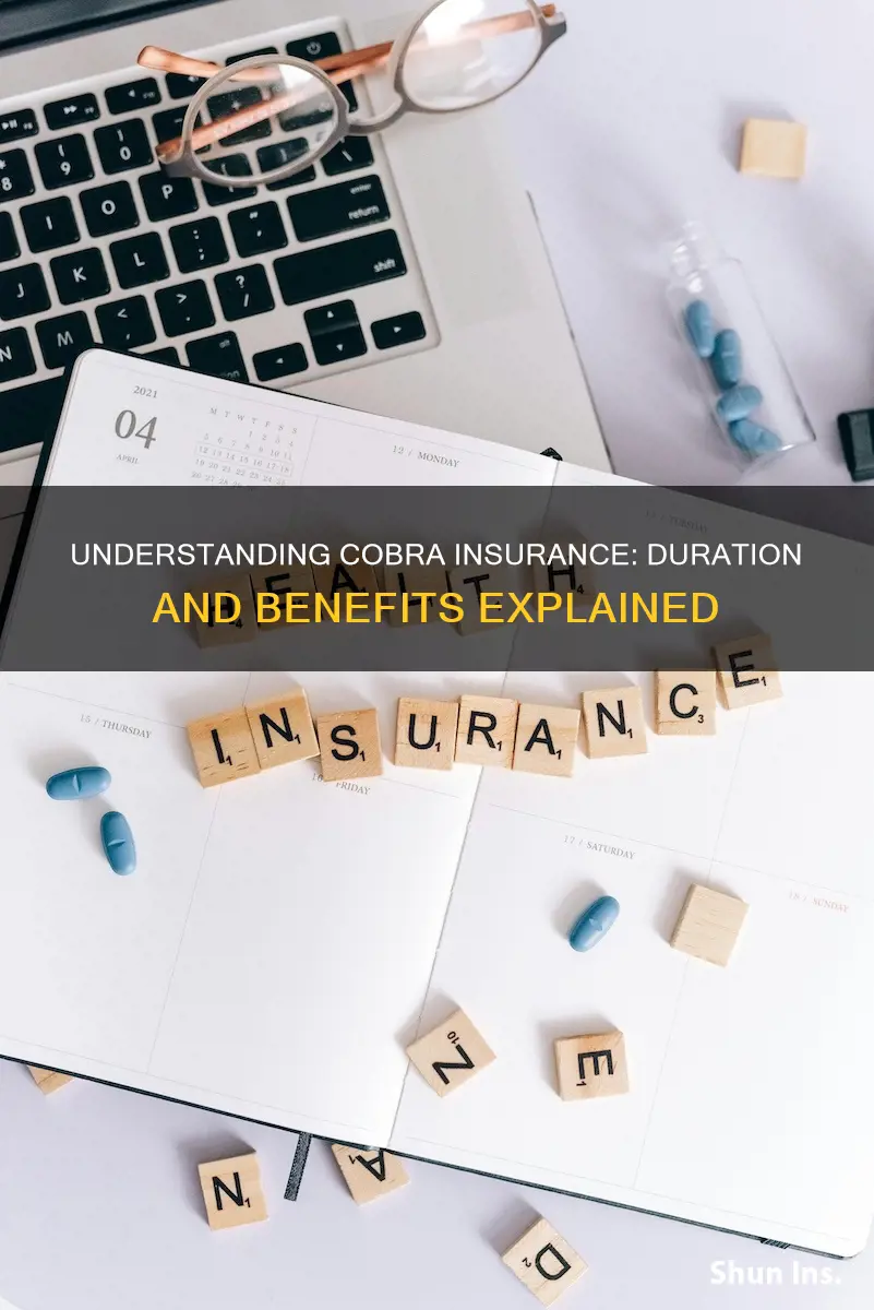 how long does cobra medical insurance last