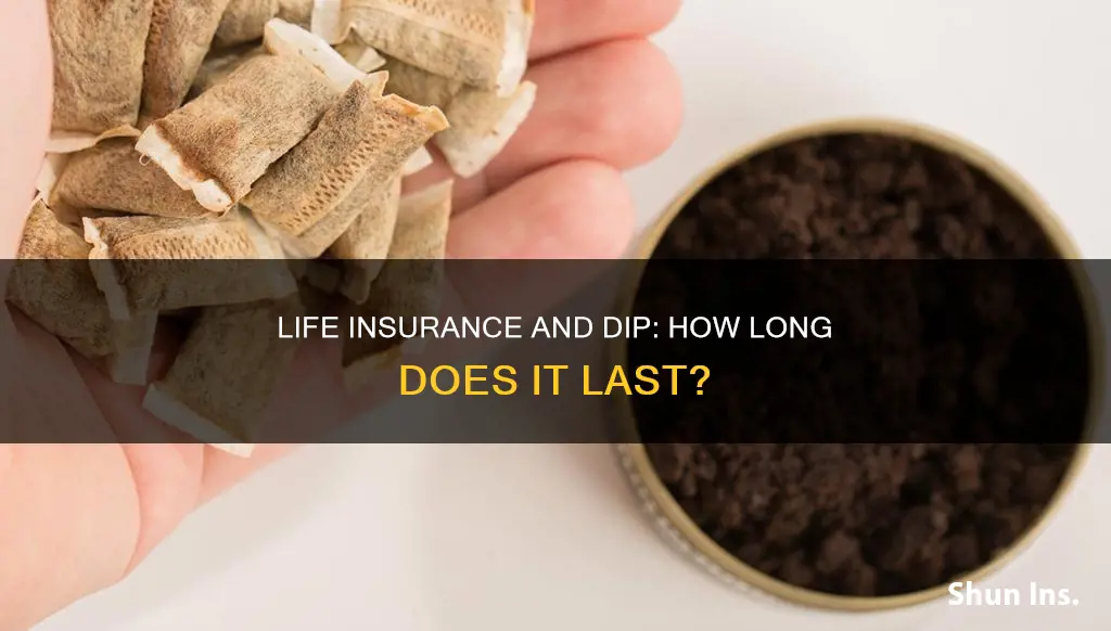 how long does dip stay in your system life insurance