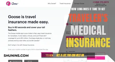 Traveler's Medical Insurance: Quick Access to Global Care
