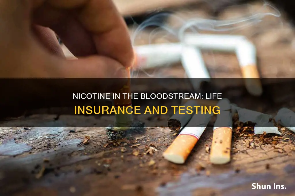 how long does nicotine stay in bloodstream life insurance