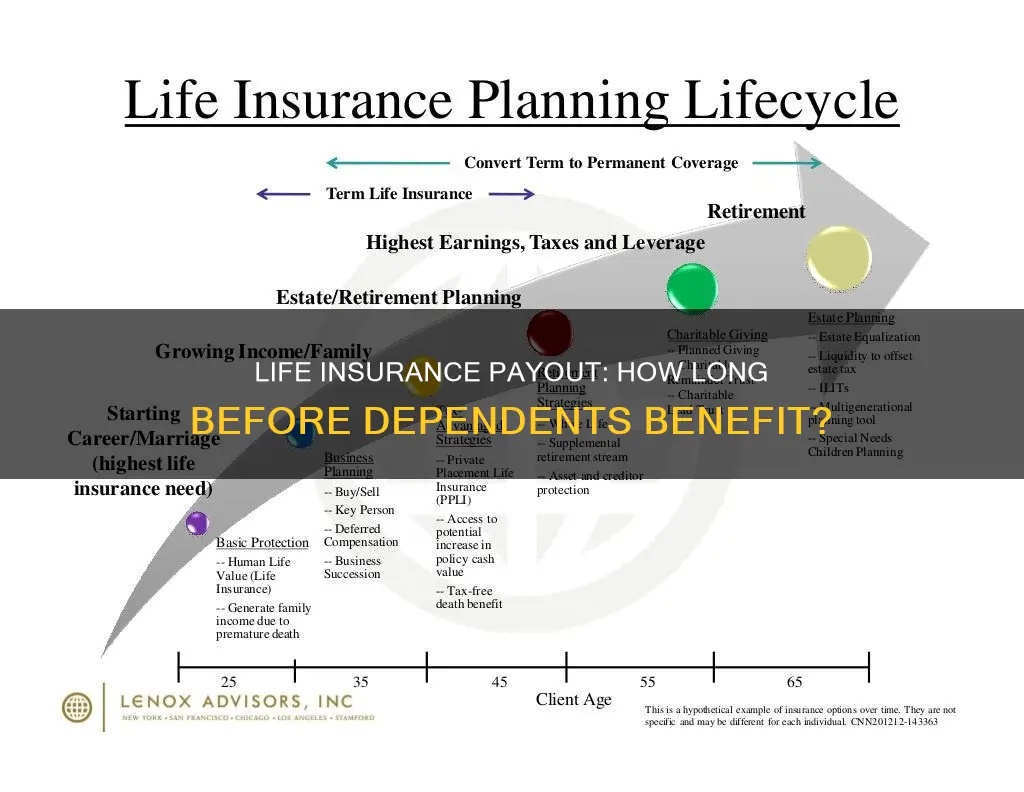 how long for a life insurance payout