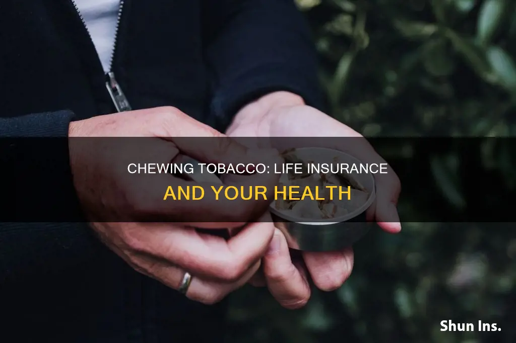 how long for chewing tobacco to leave system life insurance