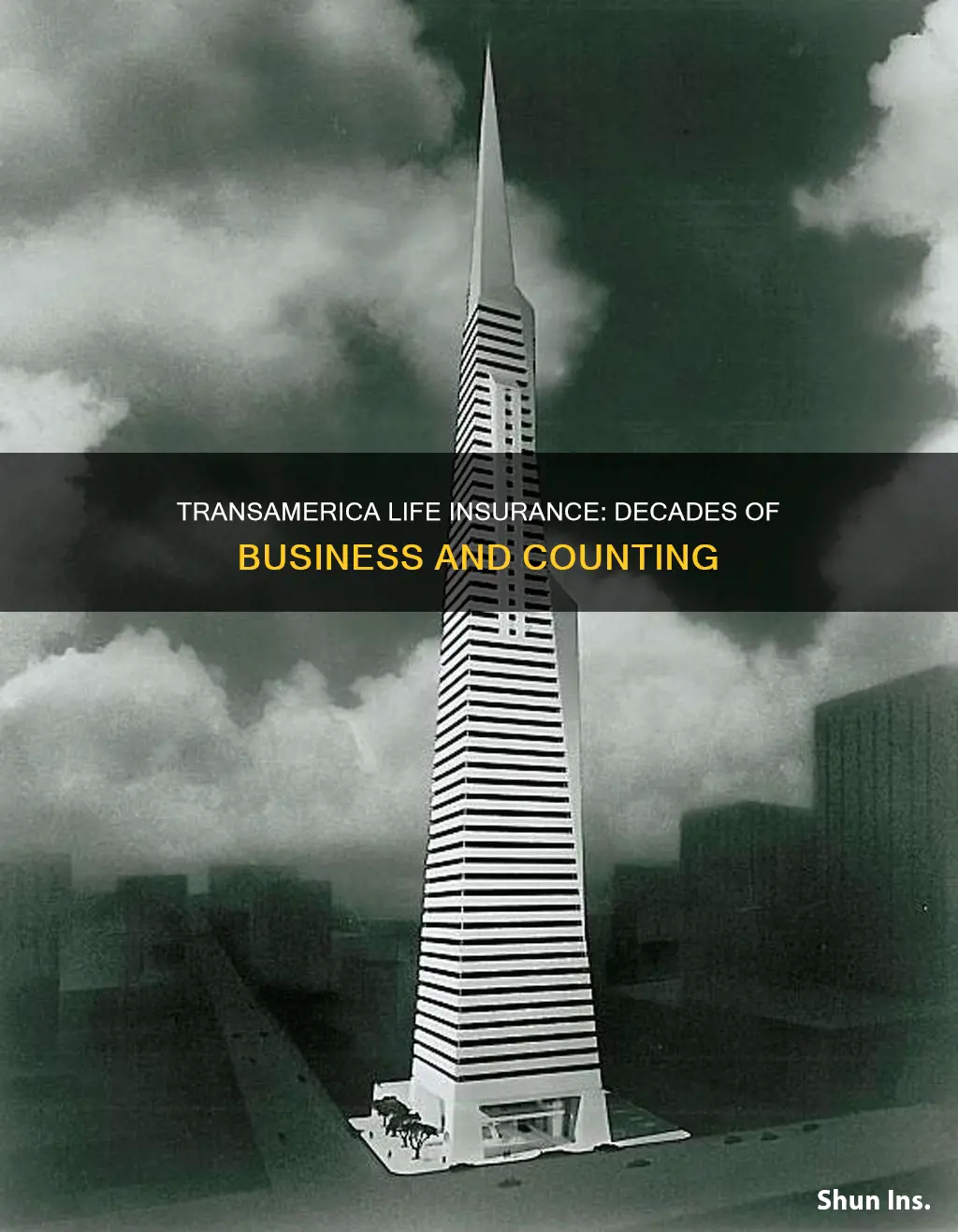 how long has transamerica life insurance been in business