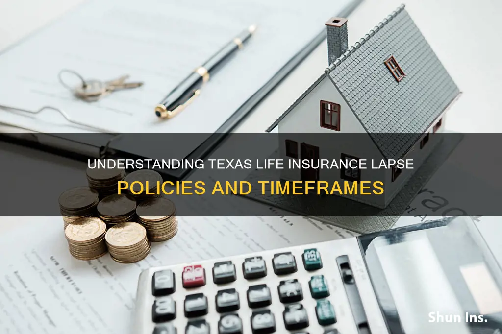 how long in Texas life insurance lapse