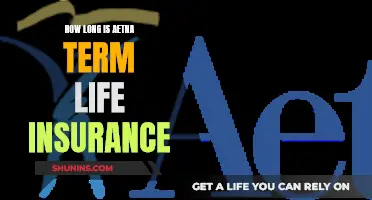 Aetna Term Life Insurance: How Long Does It Last?