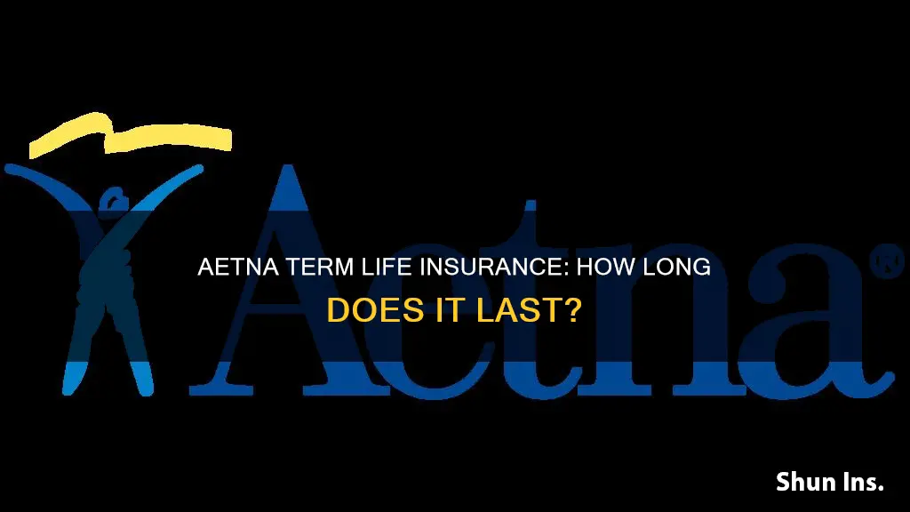 how long is aetna term life insurance