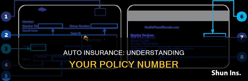 how long is an auto insurance policy number