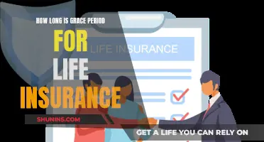 Understanding Life Insurance Grace Periods and Their Duration