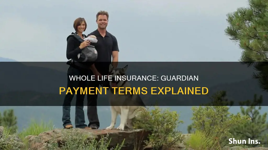 how long is guardian payment term for whole life insurance