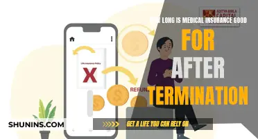 Understanding Post-Termination Medical Insurance Coverage Duration