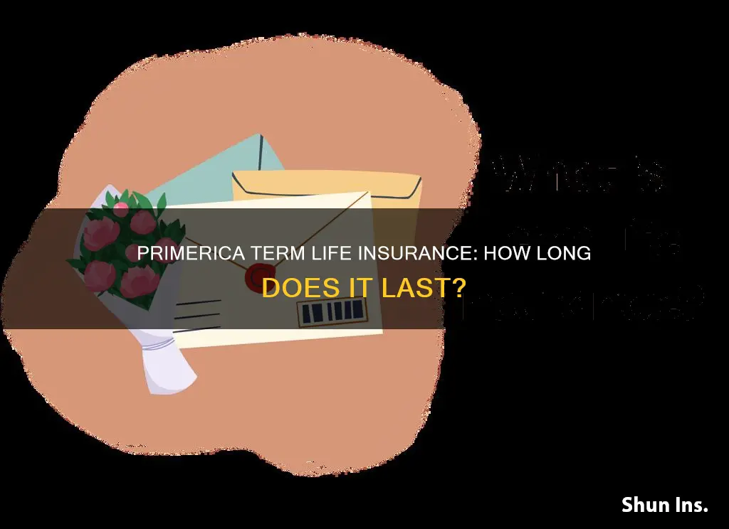 how long is primerica term life insurance