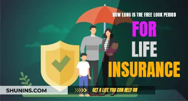 Understanding Life Insurance: Free Look Period Explained