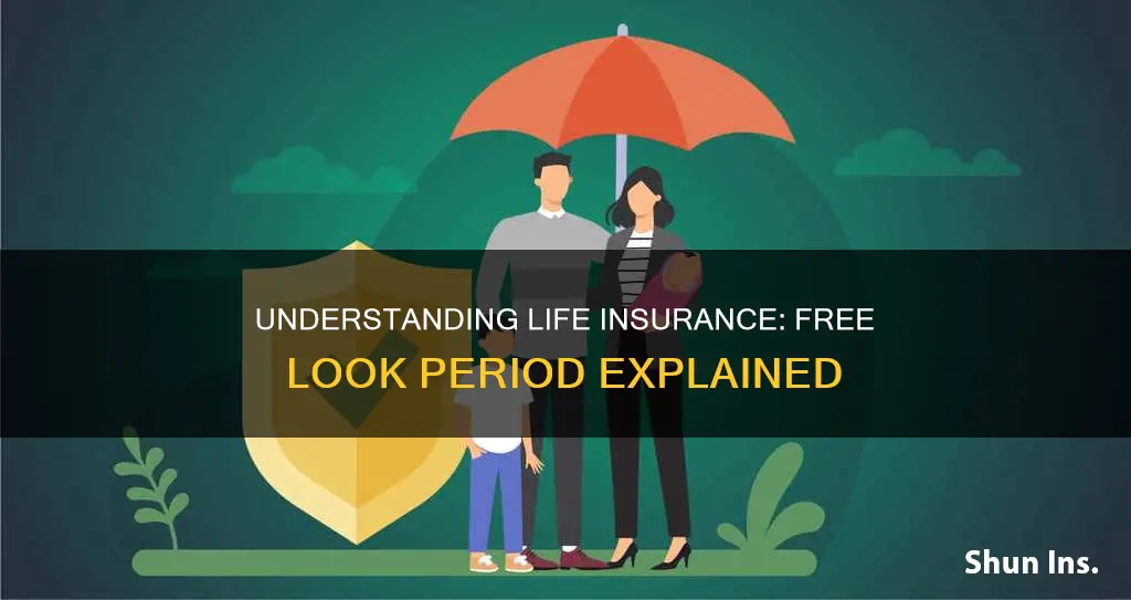 how long is the free look period for life insurance