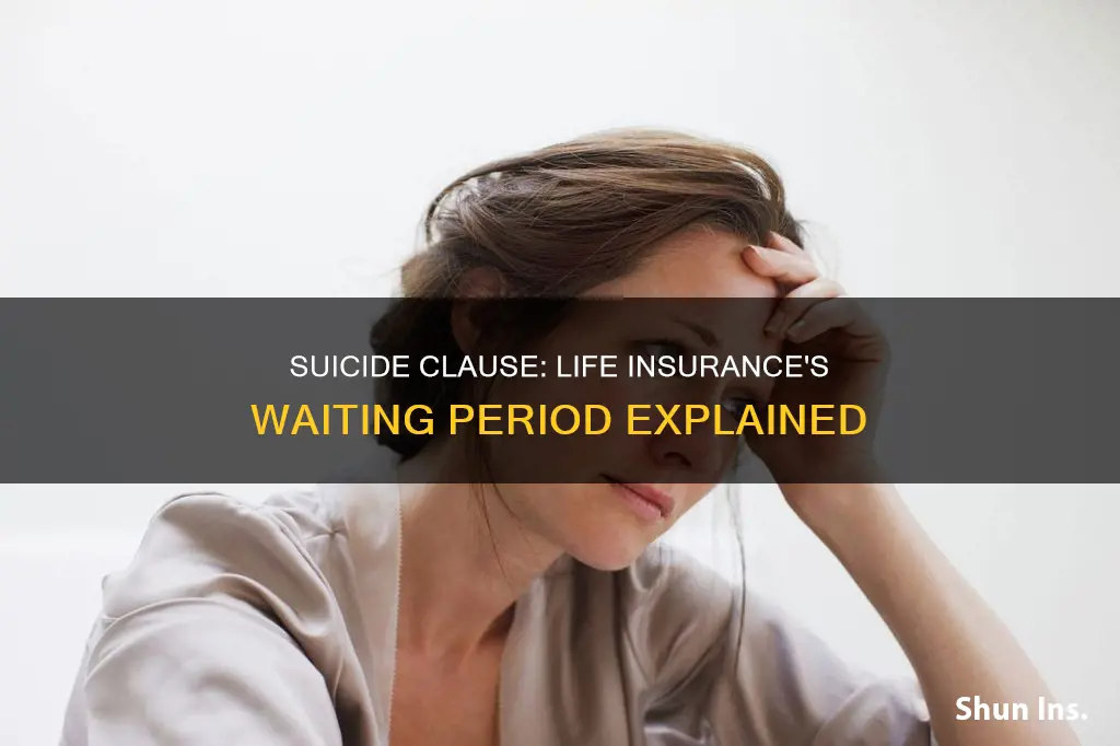 how long is the suicide clause on life insurance