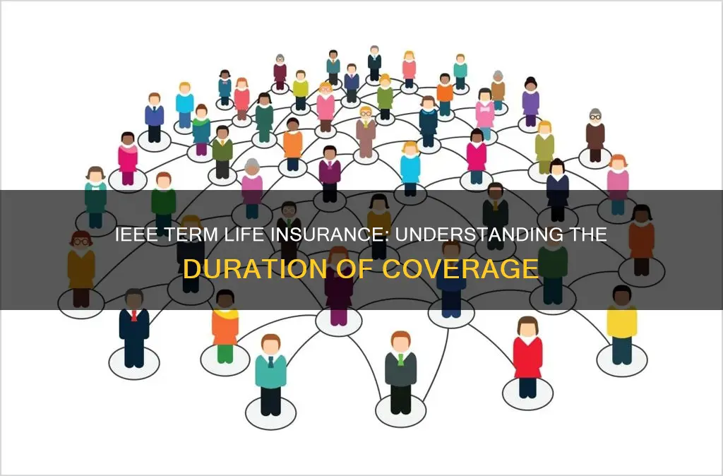 how long is the term for ieee term life insurance