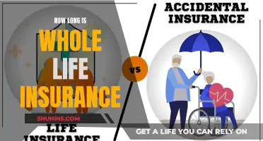 Whole Life Insurance: The Never-Ending Coverage Plan