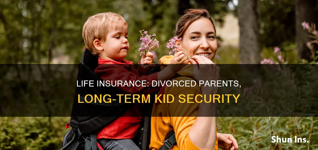 how long term life insurance if divorced with kids