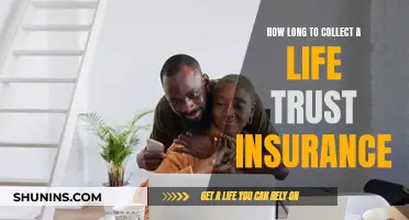 Life Trust Insurance: Quick Collection Timeline Explained