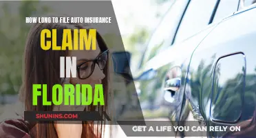 Florida Auto Insurance Claims: Time Limits Explained