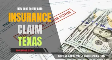 Texas Auto Insurance Claims: Understanding the Filing Timeline