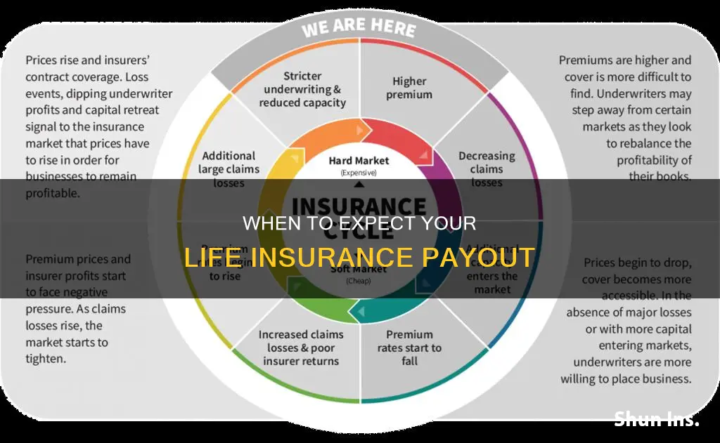 how long to get life insurance check