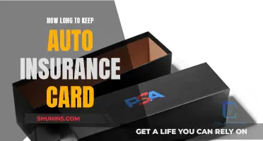 Keep Your Auto Insurance Card Safe and Handy