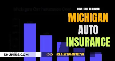 Lowering Michigan Auto Insurance: How Long Does It Take?