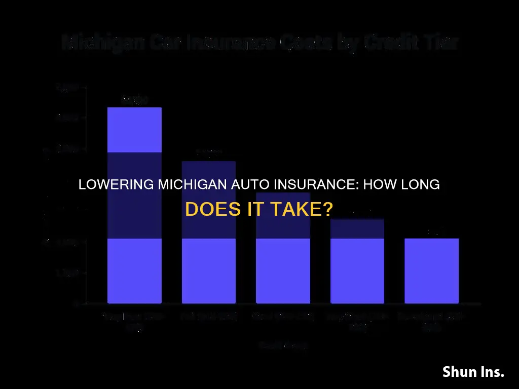 how long to lower michigan auto insurance