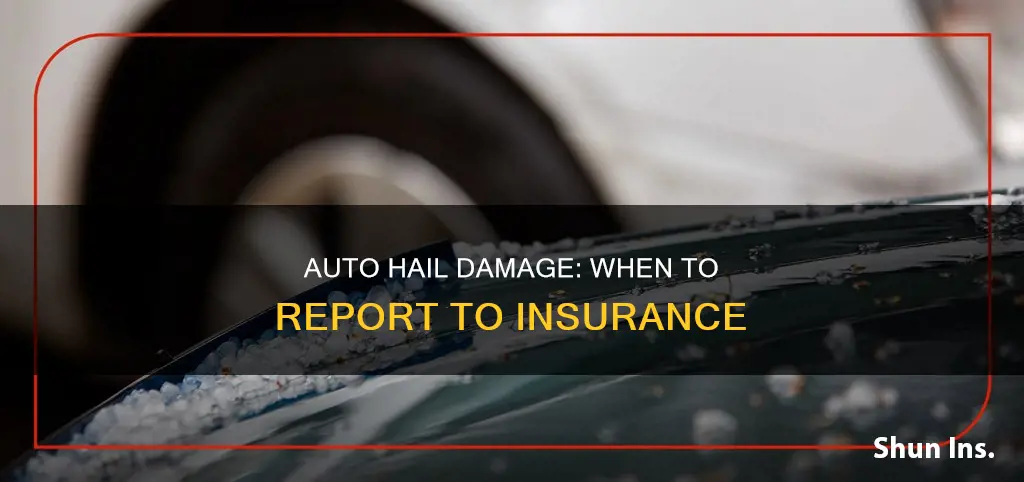 how long to report auto hail damage to insurance