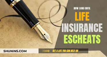 Understanding Life Insurance Escheats and Their Timelines