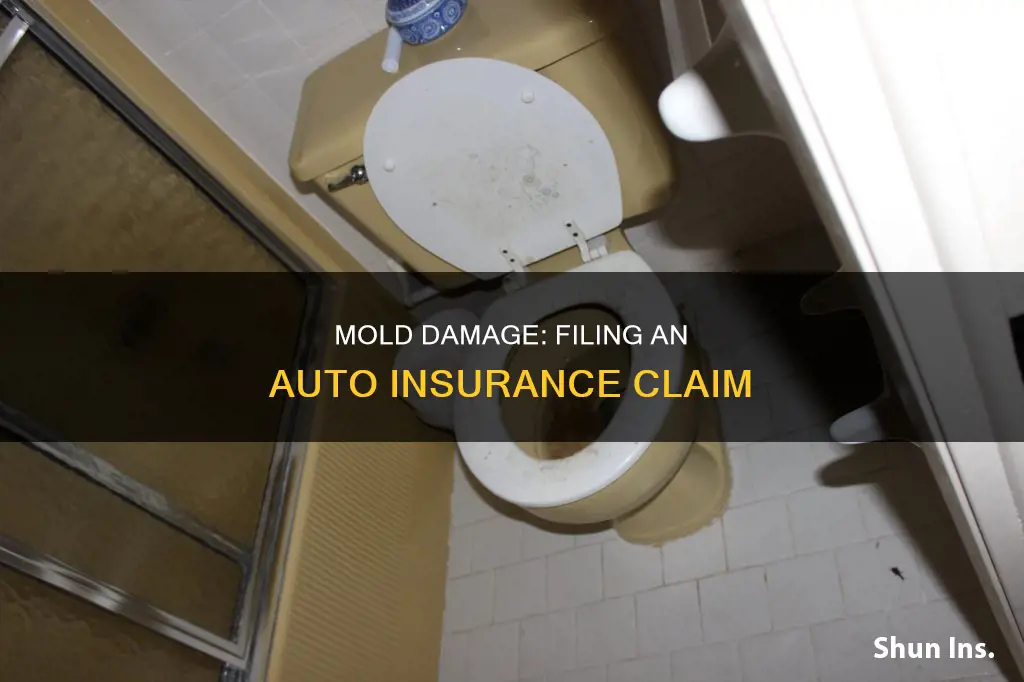 how make an auto insurance claim due to mold