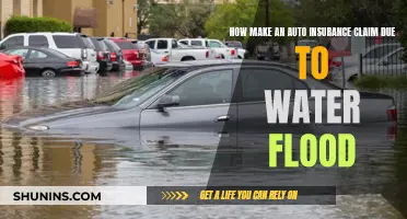 Filing a Flood Damage Insurance Claim