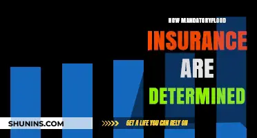 Understanding How Mandatory Flood Insurance Premiums Are Determined