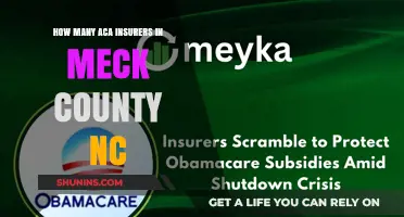 Exploring Aca Insurer Options in Meck County, North Carolina