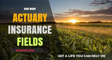 Exploring Diverse Actuary Insurance Fields: A Comprehensive Career Guide