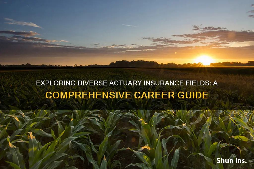 how many actuary insurance fields