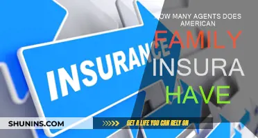 American Family Insurance: Agent Network Strength