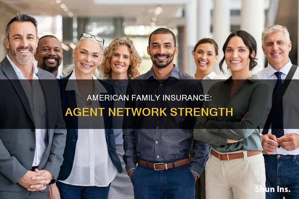 how many agents does american family insurance have