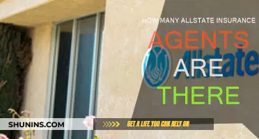 Allstate Insurance: A Large Network of Agents