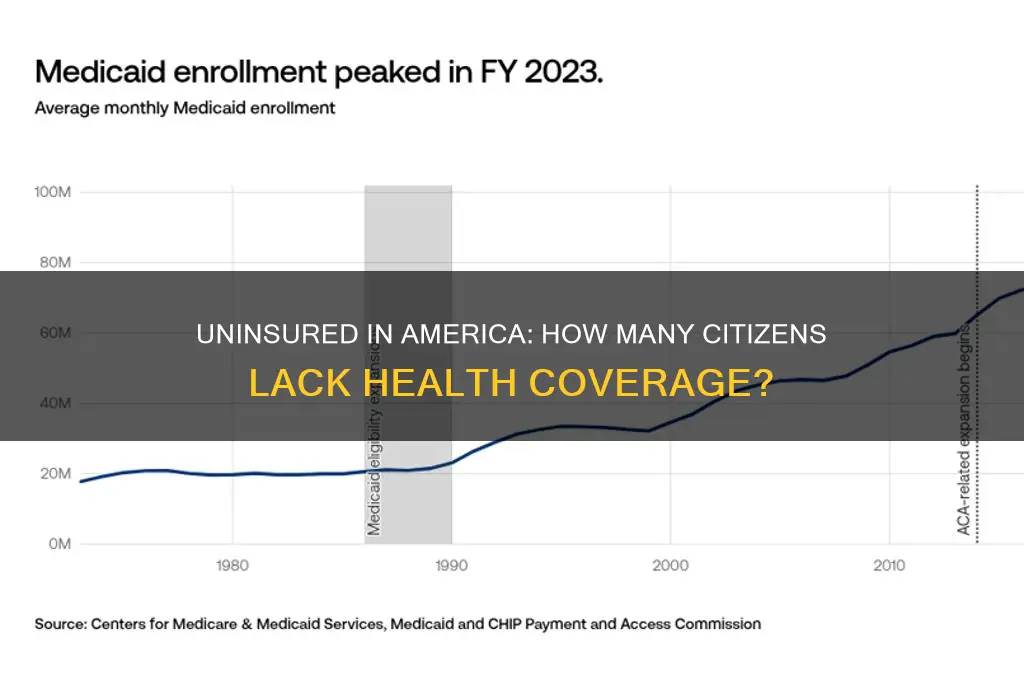 how many american citizens do not have health insurance