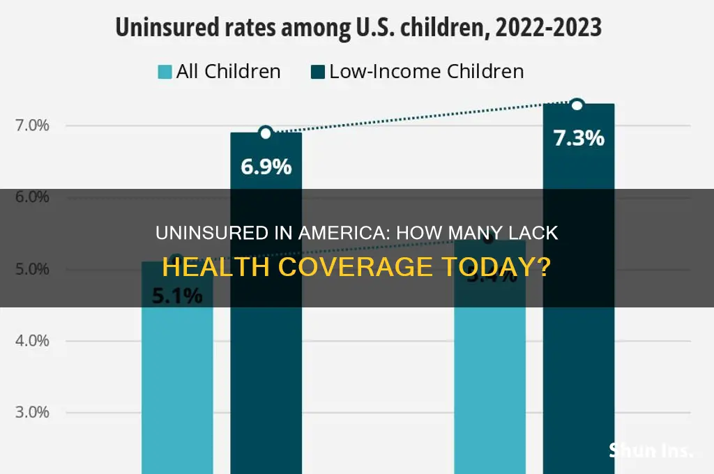 how many american have no insurance