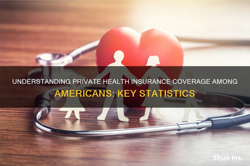 how many american have privet health insurance