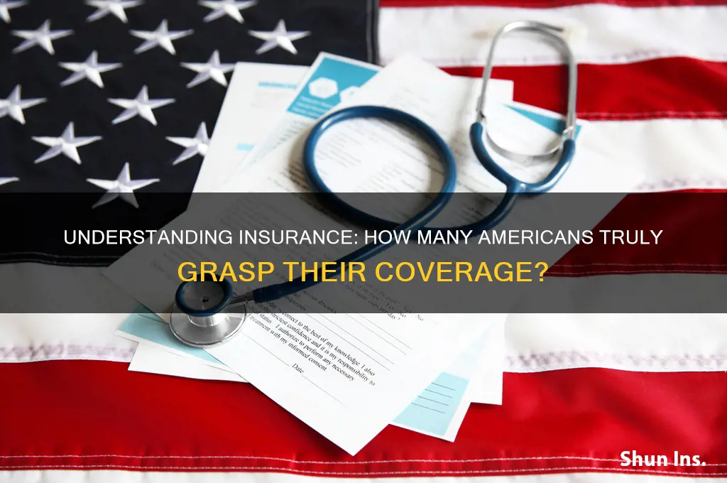 how many american understnad insurance
