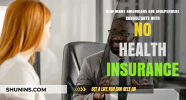 Independent Consultants in America: Health Insurance Coverage Gaps Explored