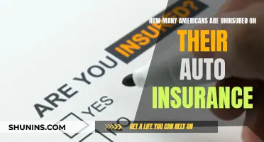 Auto Insurance: Uninsured Americans' Plight