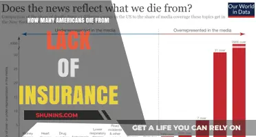 Uninsured Americans: The Deadly Toll of Inaccessible Healthcare Coverage