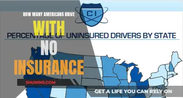 Uninsured Drivers: A Hidden Risk on America's Roads