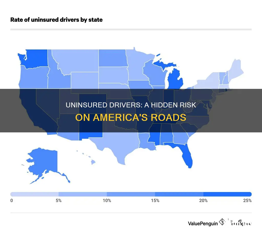 how many americans drive with no insurance