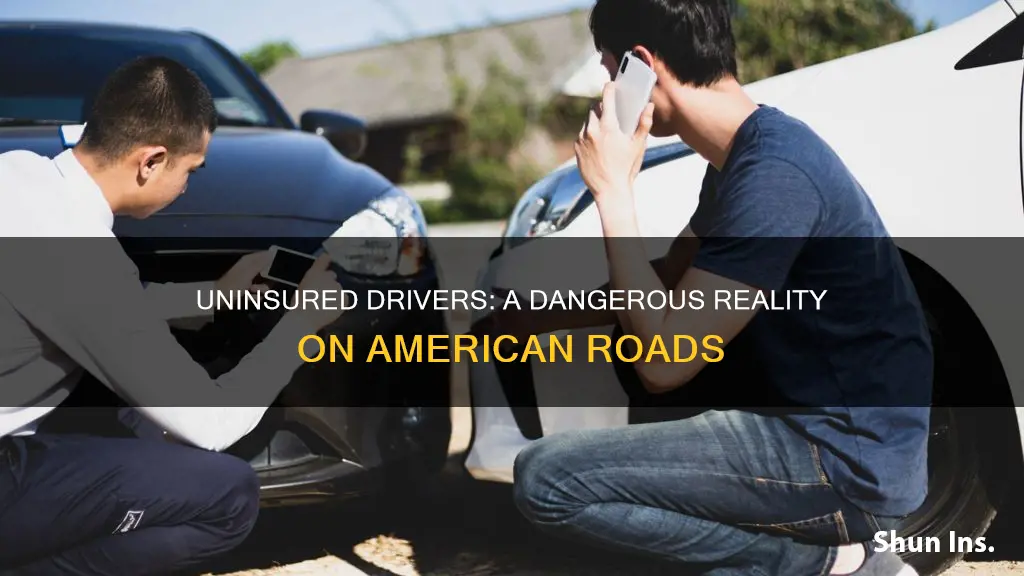 how many americans drive with no insurance
