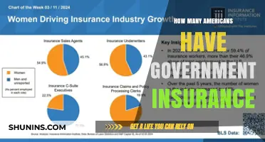 Understanding Government Insurance Coverage Among Americans: Key Statistics and Trends